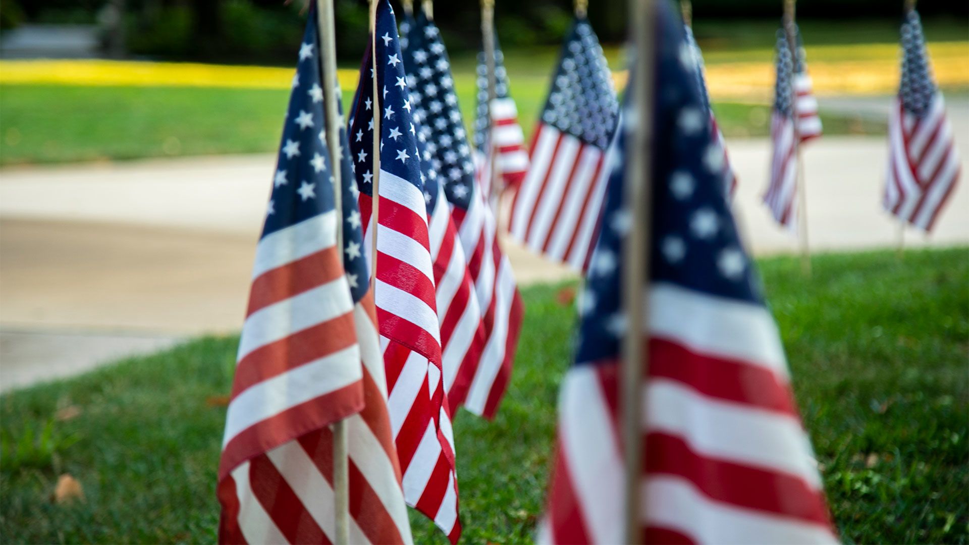 History of women veterans day